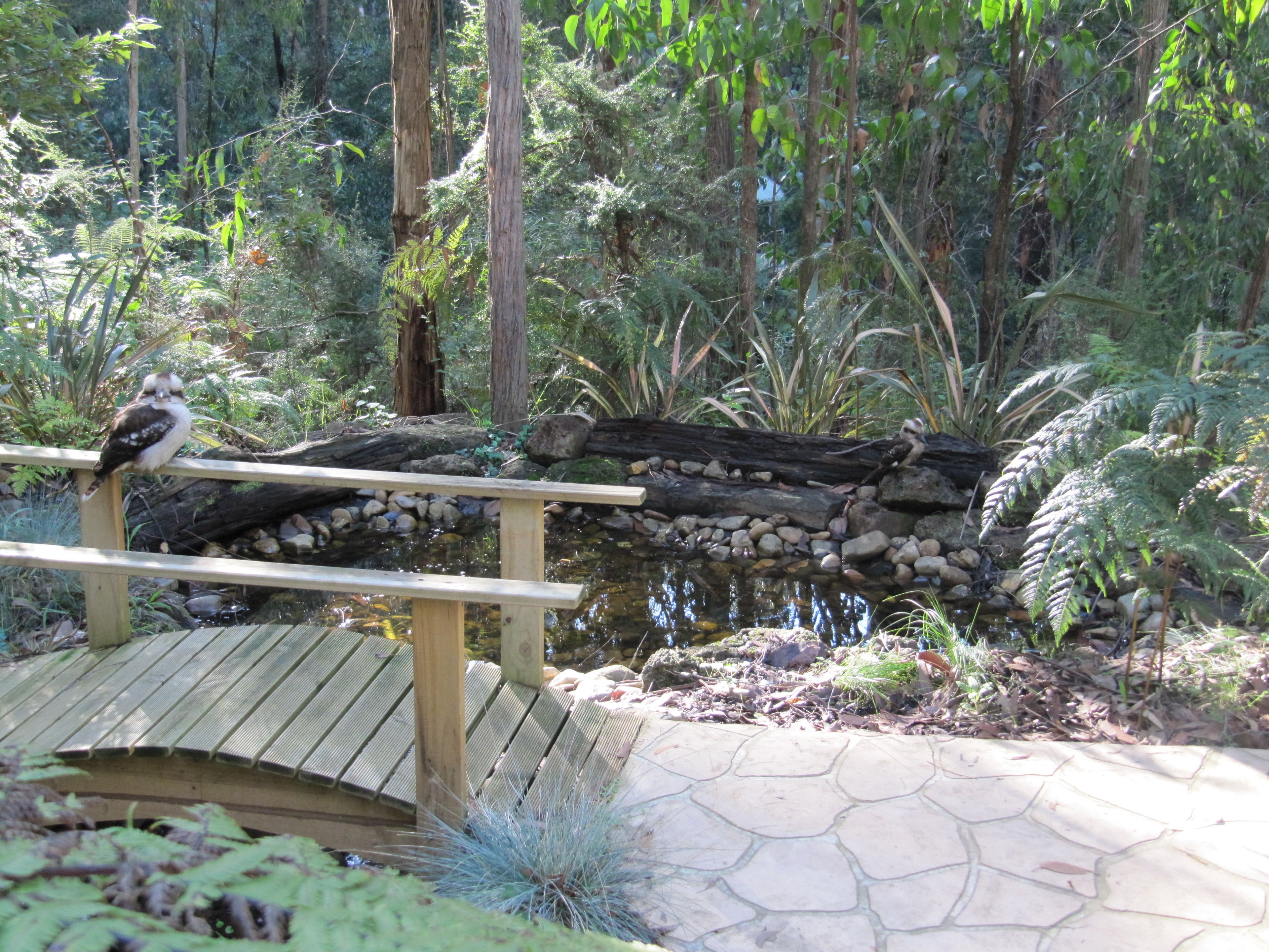 A wooden bridge over a pond with a bird perched on the railing.