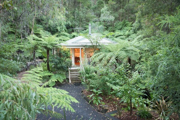 A small, single-story house surrounded by dense ferns and trees, with a visible entrance and a chimney. - Myers Creek Cascades Luxury Cottages (Healesville)