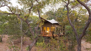 ダブルルーム (Safari Tent)
