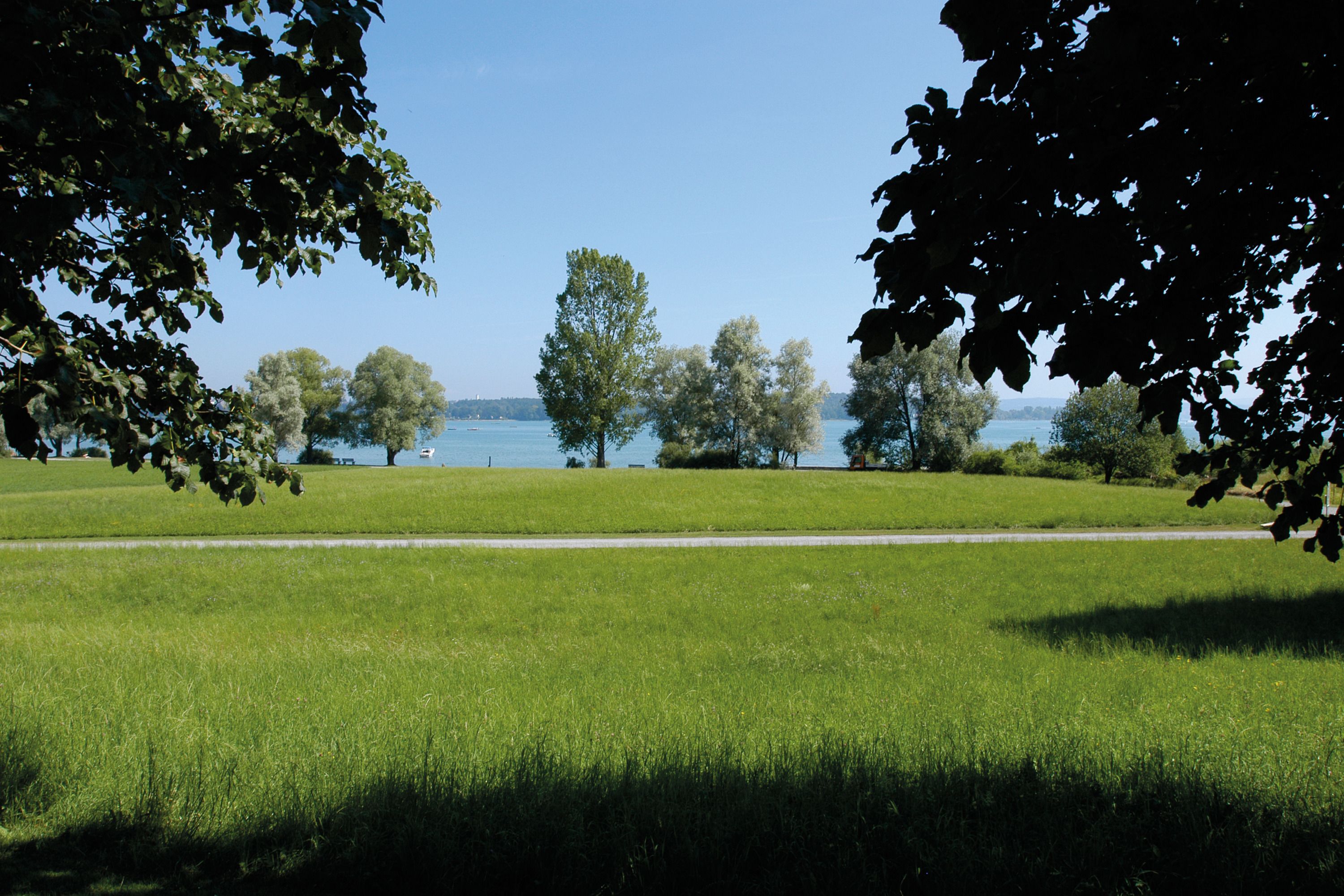 A grassy field with trees and a body of water in the distance.