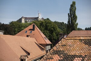 A castle with a tower and flags, surrounded by trees and buildings with red-tiled roofs.