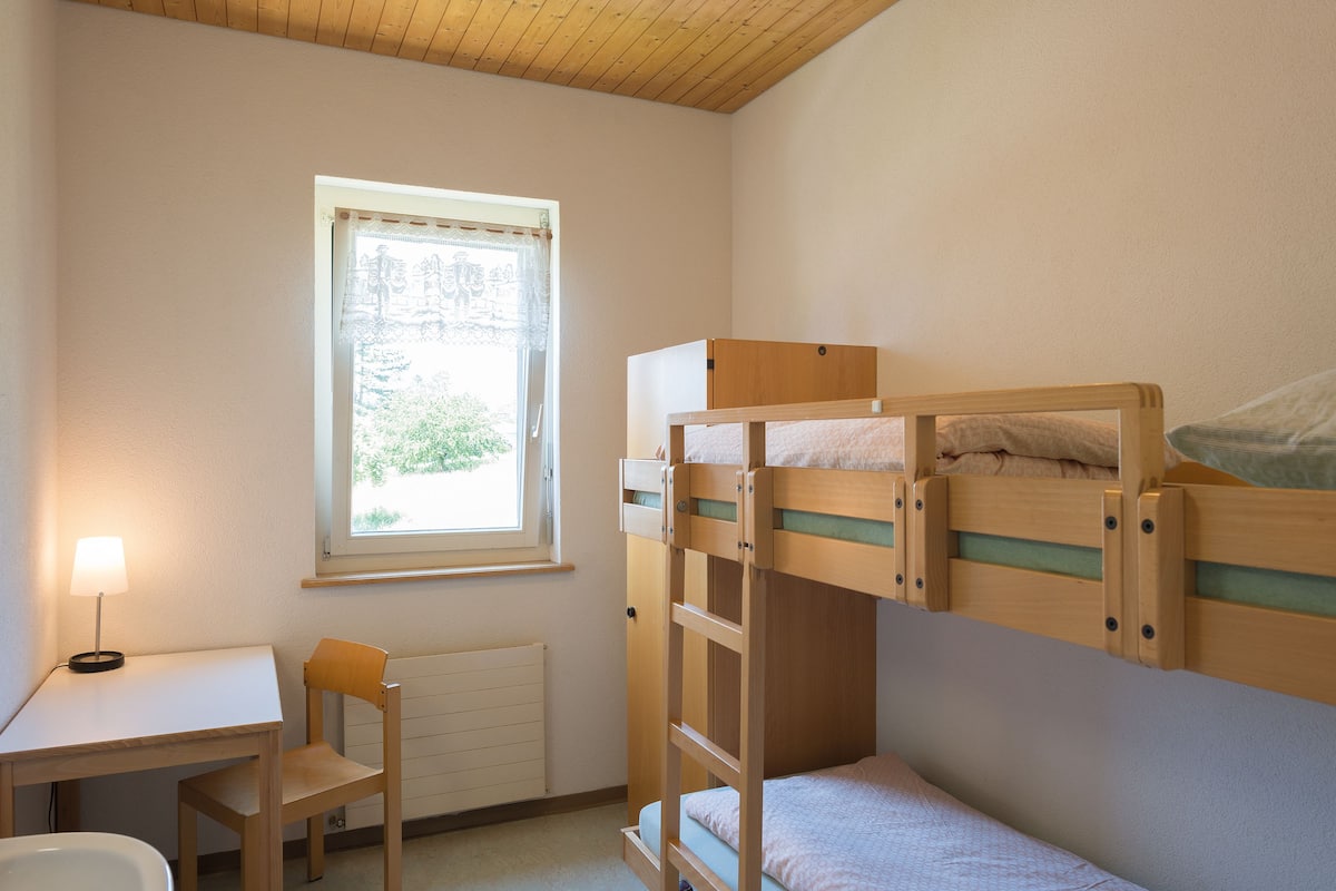 A room with bunk beds, a desk, a chair, and a window with a view of greenery.