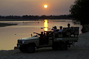 Safari