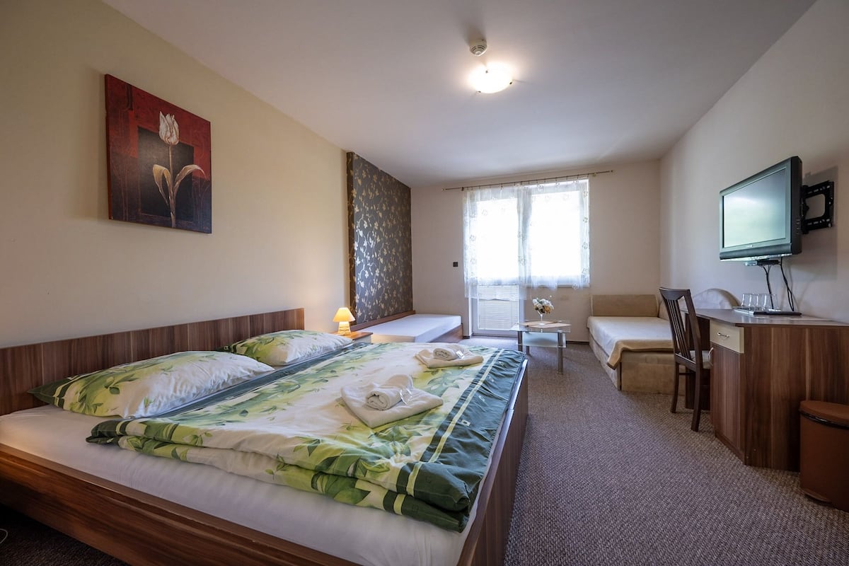 Une chambre d’hôtel avec un lit, un bureau, une télévision et une fenêtre avec des rideaux.