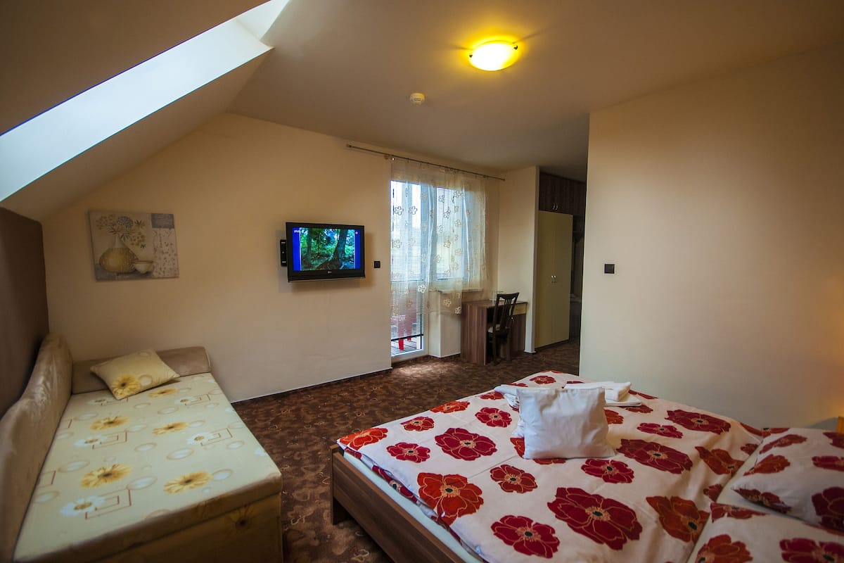 Une chambre à coucher avec un lit, un canapé, une télévision et une fenêtre avec des rideaux.
