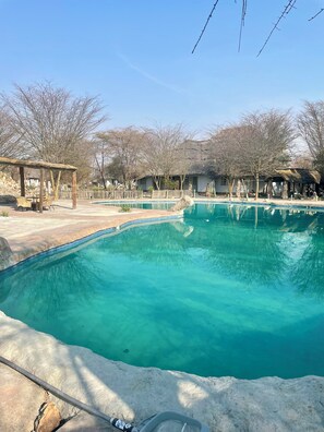 A clear blue swimming pool with a wooden deck and lounge chairs, surrounded by trees and a house in the background. - Pelican Lodge and Camping (Nata)
