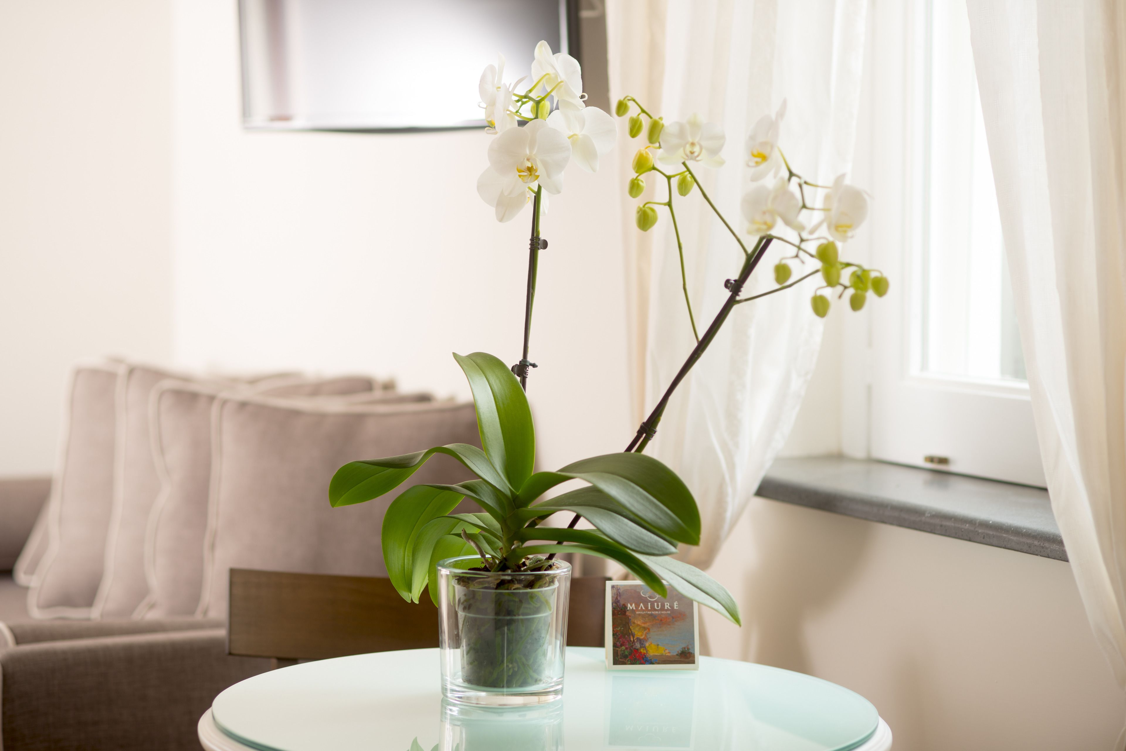 Dobbeltrom – standard | Minibar, safe på rommet, skrivebord og barnesenger (inkludert)