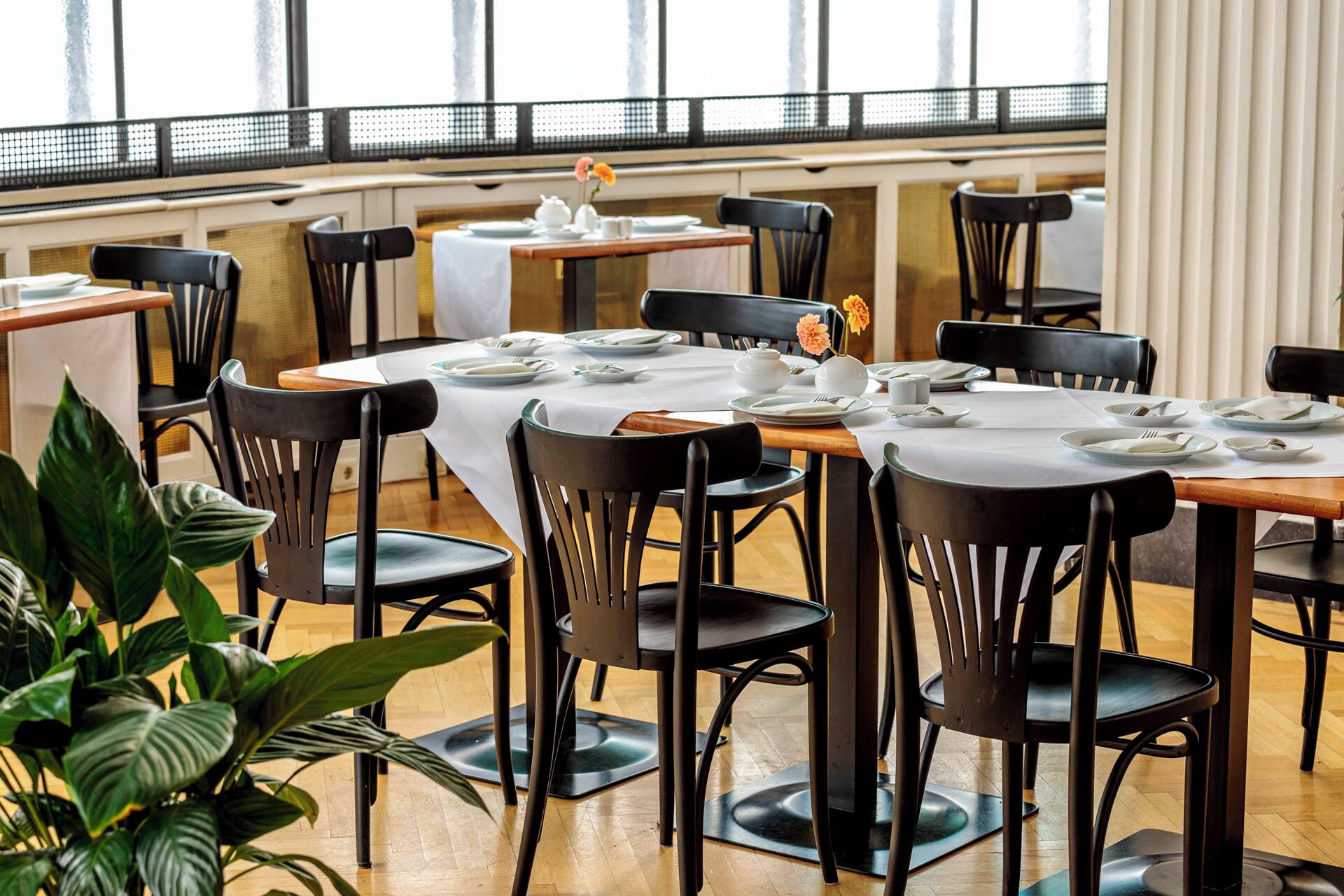 Desayuno buffet diario (EUR 21.90 por persona)