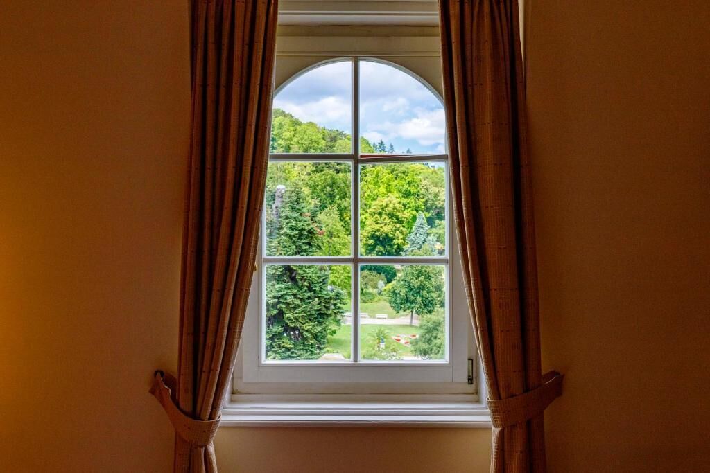 Una ventana con vistas a un paisaje verde.