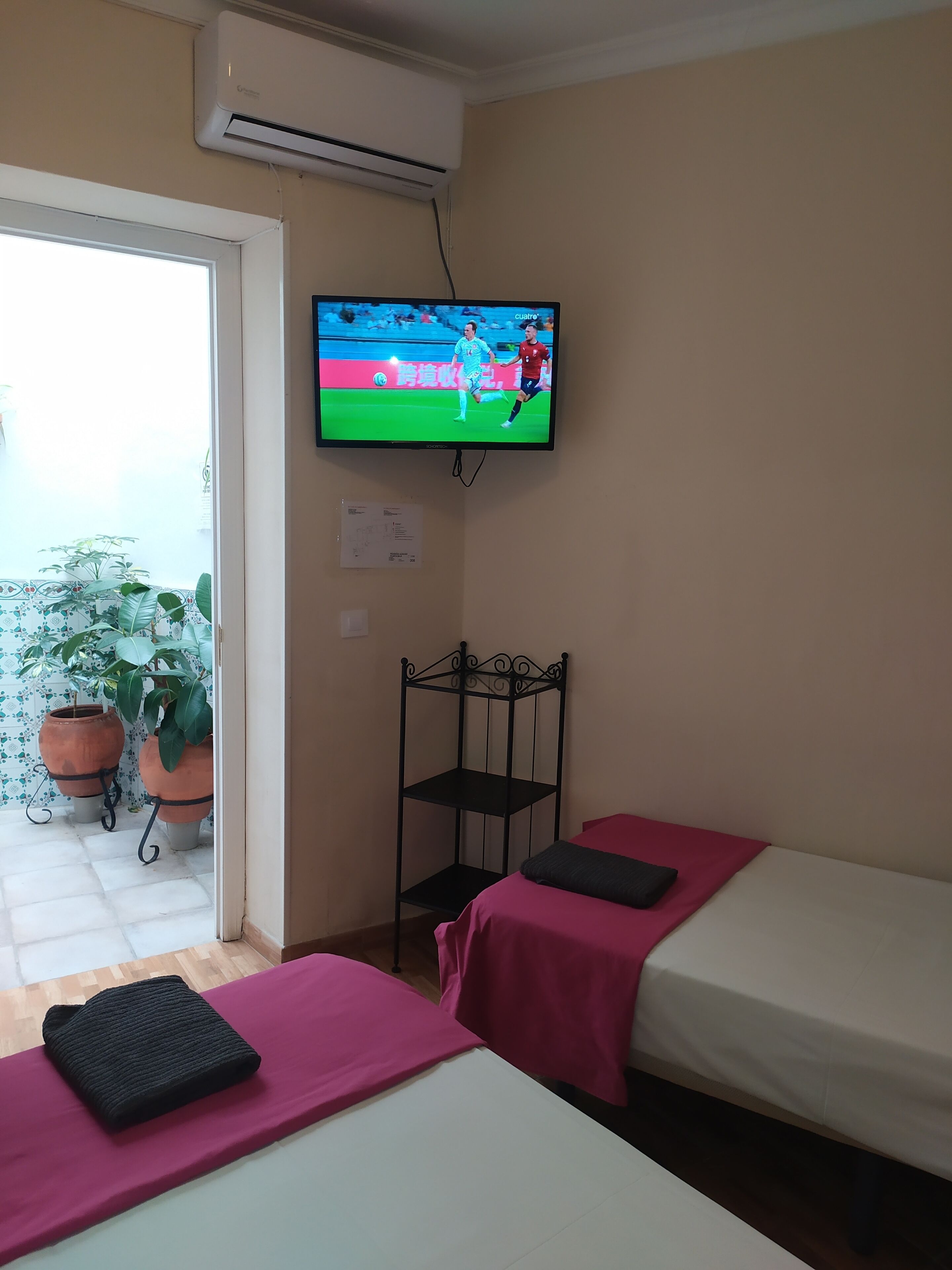 Ein Hotelzimmer mit zwei Betten, einem Fernseher, der ein Fußballspiel zeigt, einer Klimaanlage, einem Metallstuhl und Topfpflanzen am Fenster.