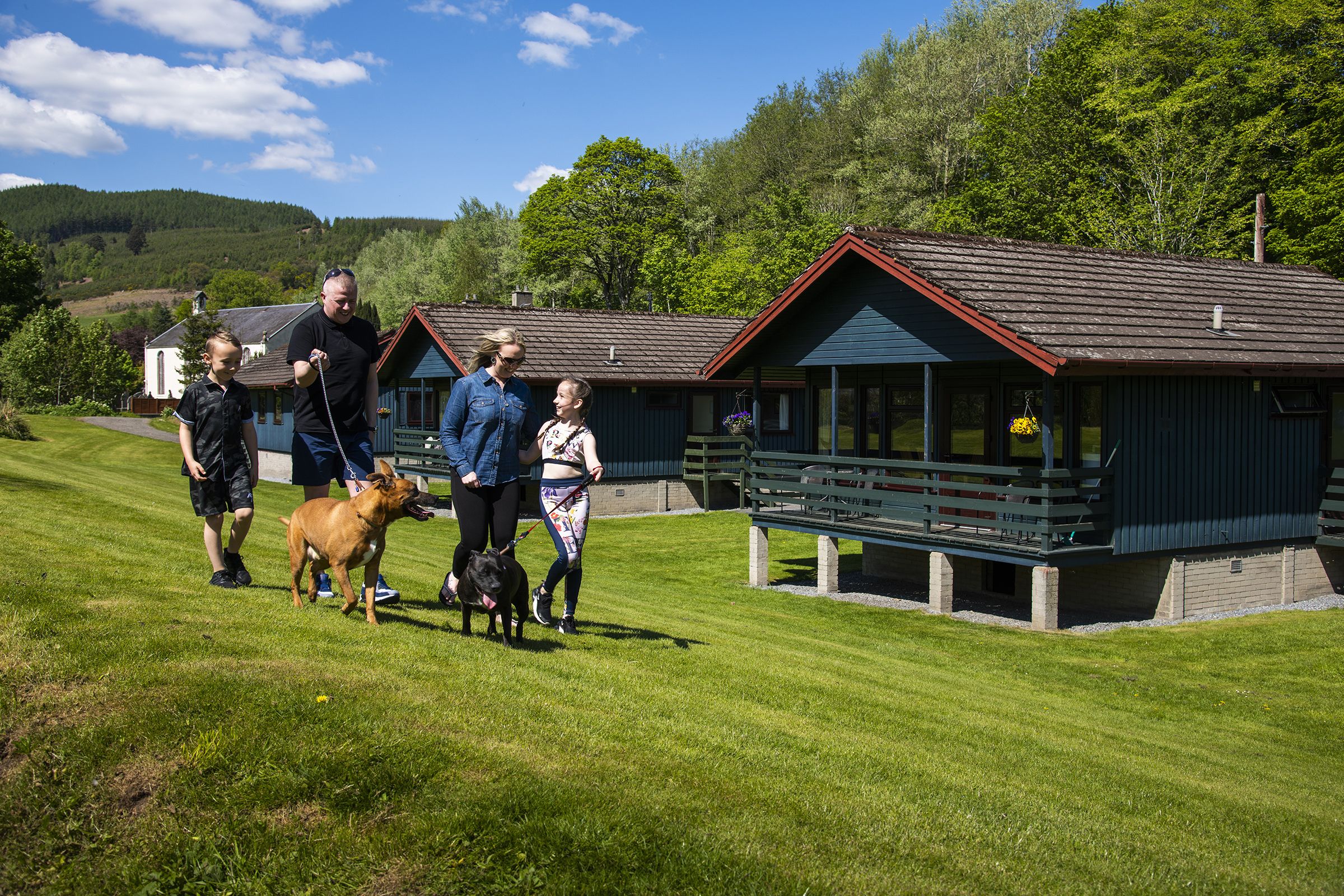 A group of people walking dogs in a grassy area with cabins in the background.