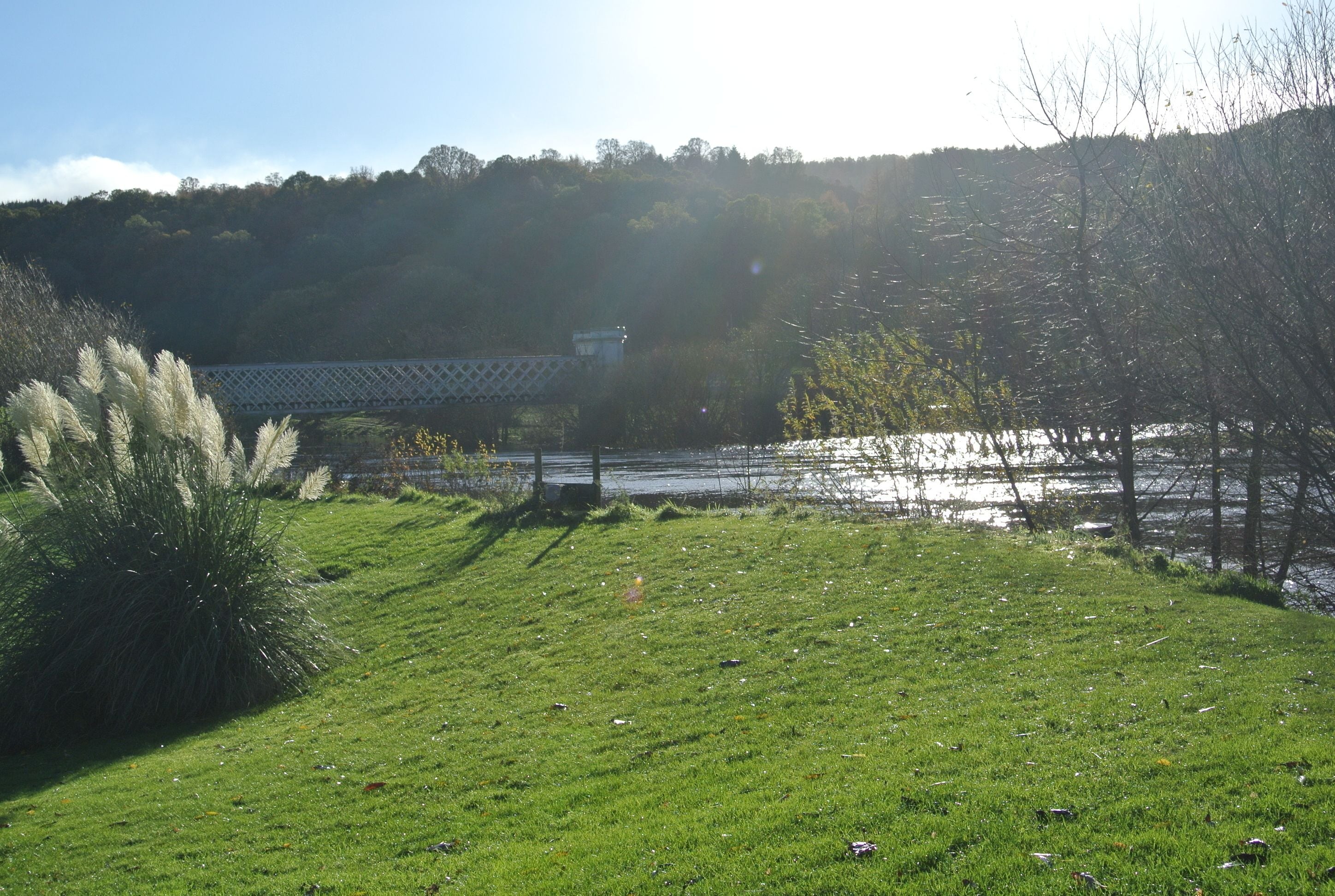 Une zone herbeuse avec une étendue d’eau et un pont en arrière-plan.