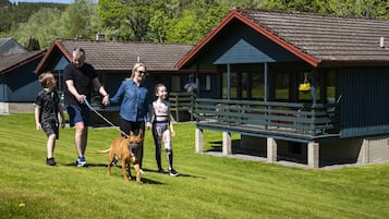 Pet-friendly