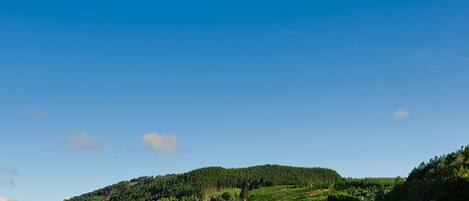 Un paysage rural avec une rangée de bâtiments aux toits verts, un champ d’herbe et une colline en arrière-plan.