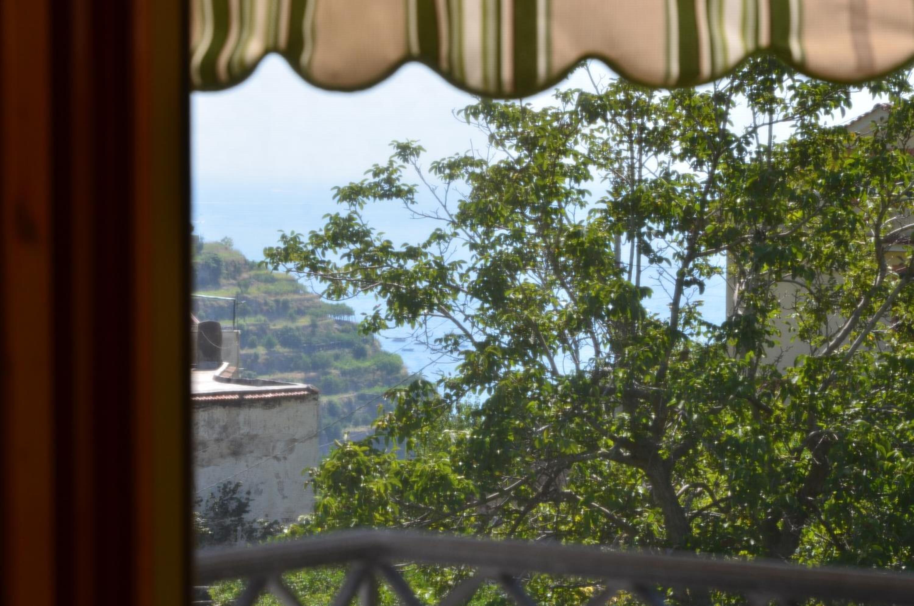 A view through a window with a striped curtain, featuring a lush green tree and a distant coastline.