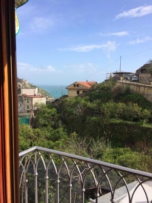 Property grounds - Villa La Zagara (Minori)