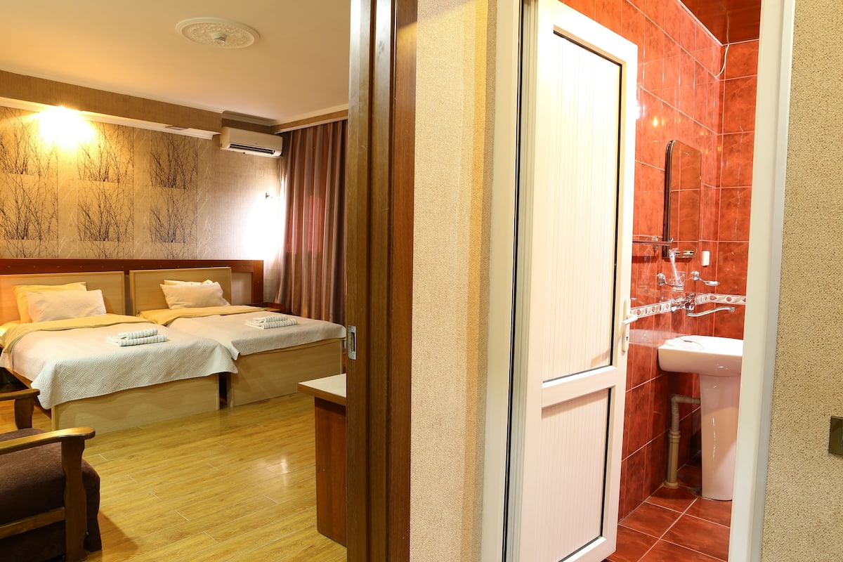 Deluxe Twin Room | 1 bedroom, pillowtop beds, in-room safe, desk