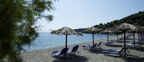 On the beach, sun-loungers, beach umbrellas, beach volleyball