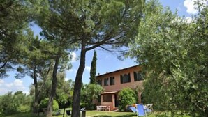 A rustic villa with a brick facade, surrounded by lush greenery and tall trees.
