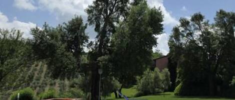 Una piscina techada, una piscina al aire libre, sombrillas