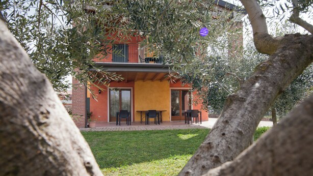A modern house with a patio, a brick wall, and a tree in the foreground.