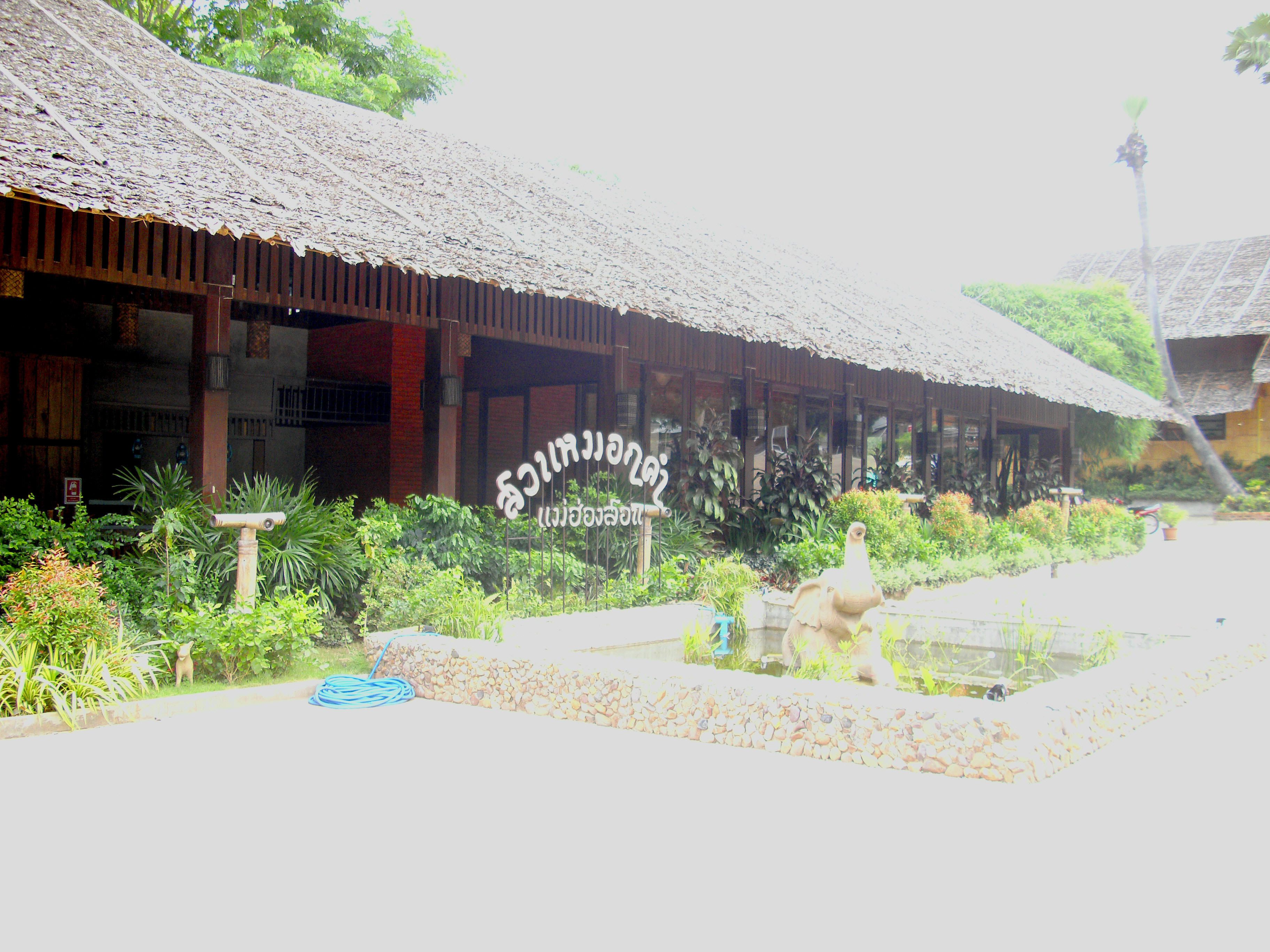 A traditional building with a thatched roof, surrounded by lush greenery and a small pond.