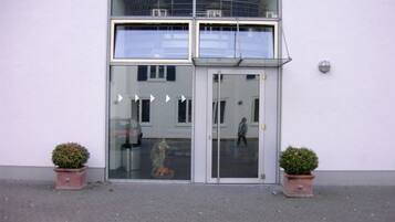 A building entrance with a glass door, two potted plants, and a reflection of a person walking.