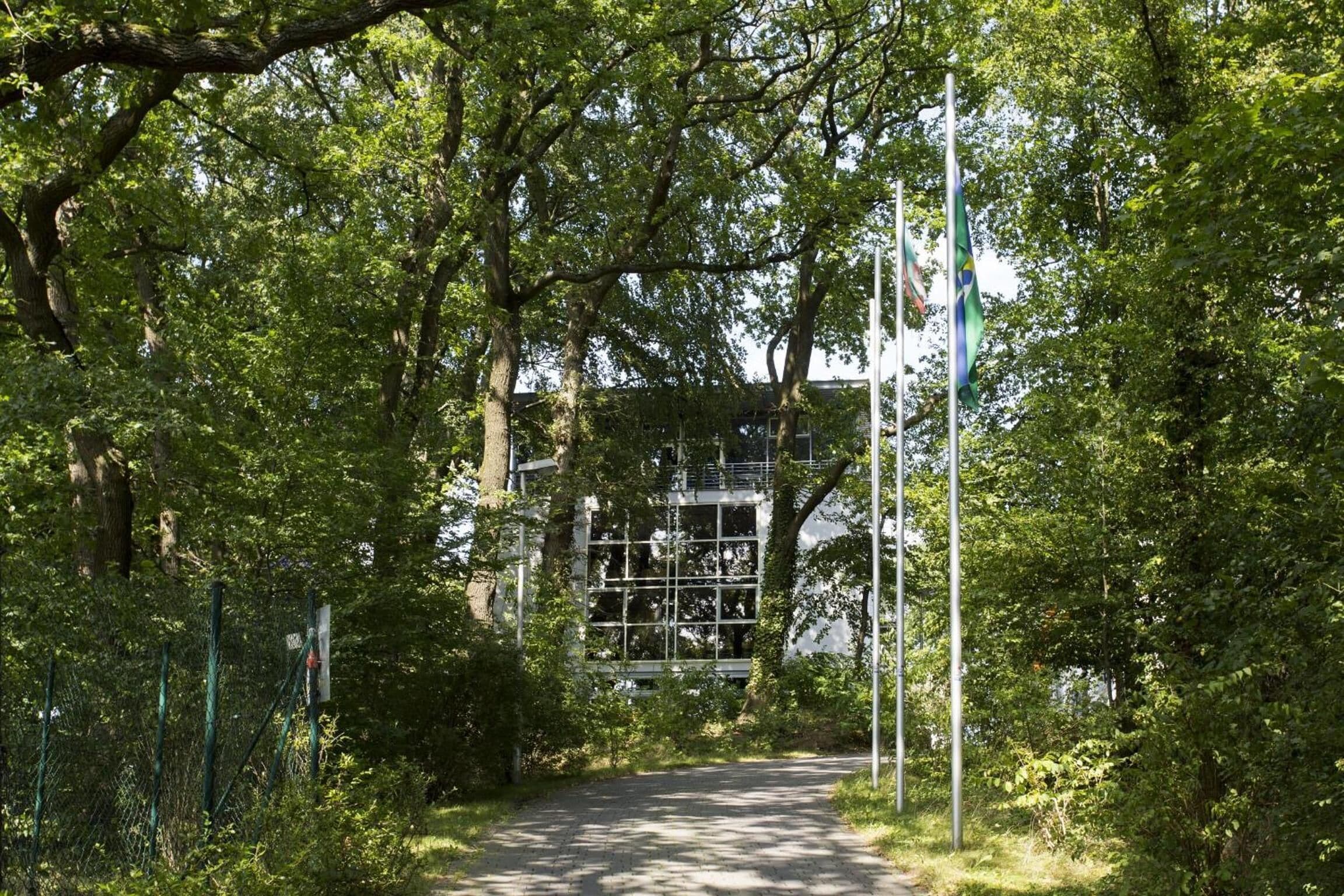 A pathway flanked by trees leading to a building with large windows.