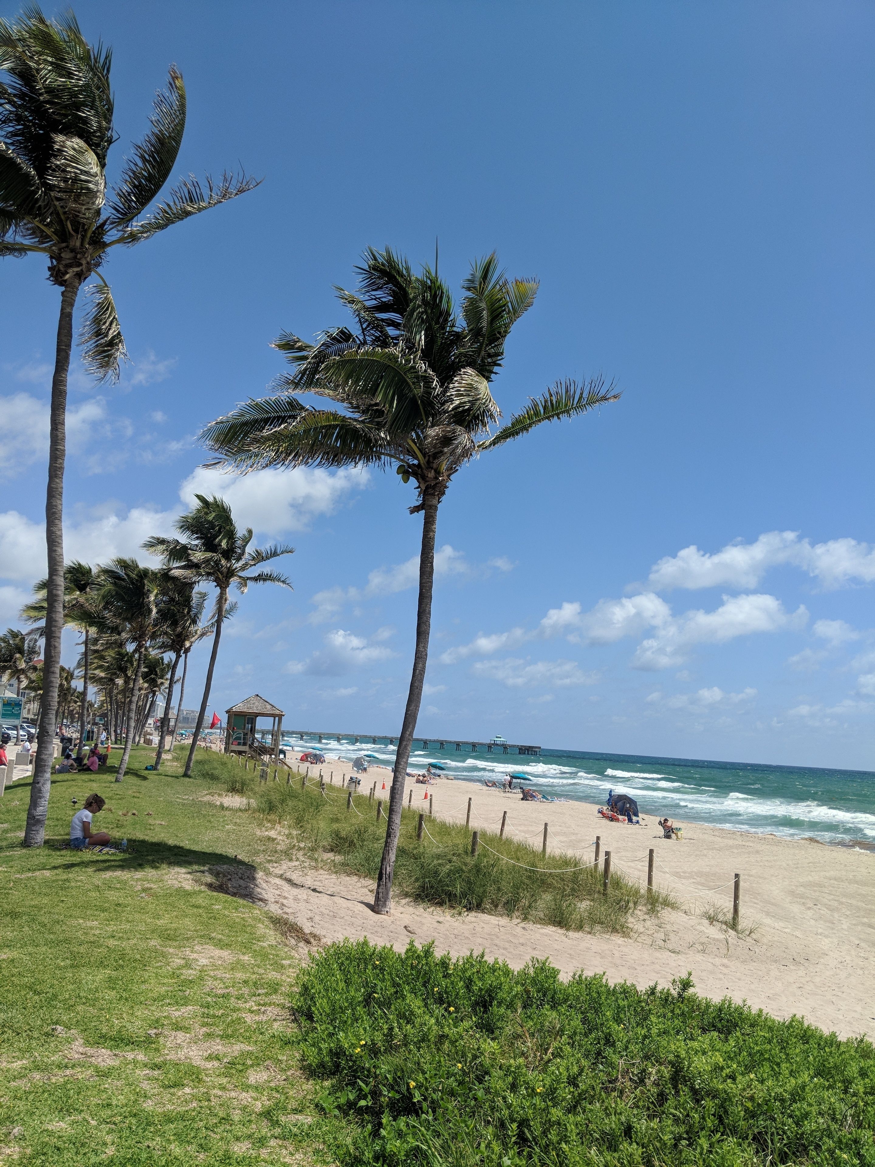 Una playa con palmeras, una torre de salvavidas y el océano.