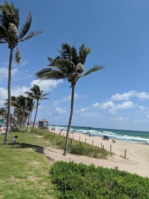 Vlak bij het strand