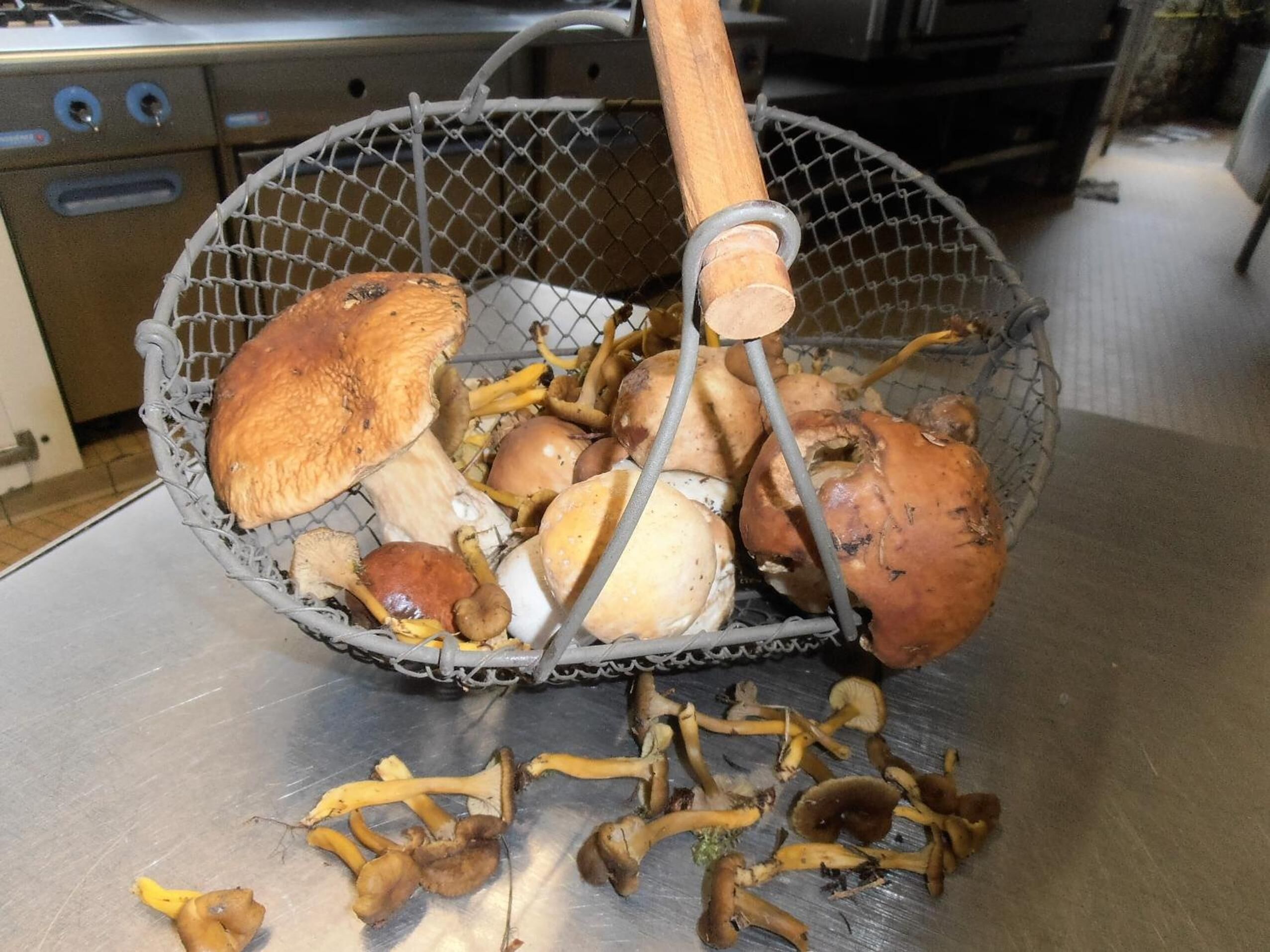 lunch and dinner served, french cuisine