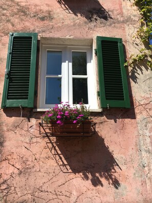 Exterior detail - Montemarcello View (Ameglia)