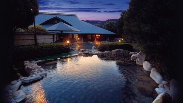 A traditional Japanese ryokan with a koi pond and stone lanterns. - Watarase Onsen Hotel Sasayuri (Tanabe)