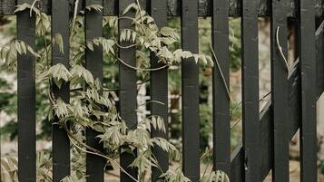 Dúplex superior (La Mezzanine) | Exterior