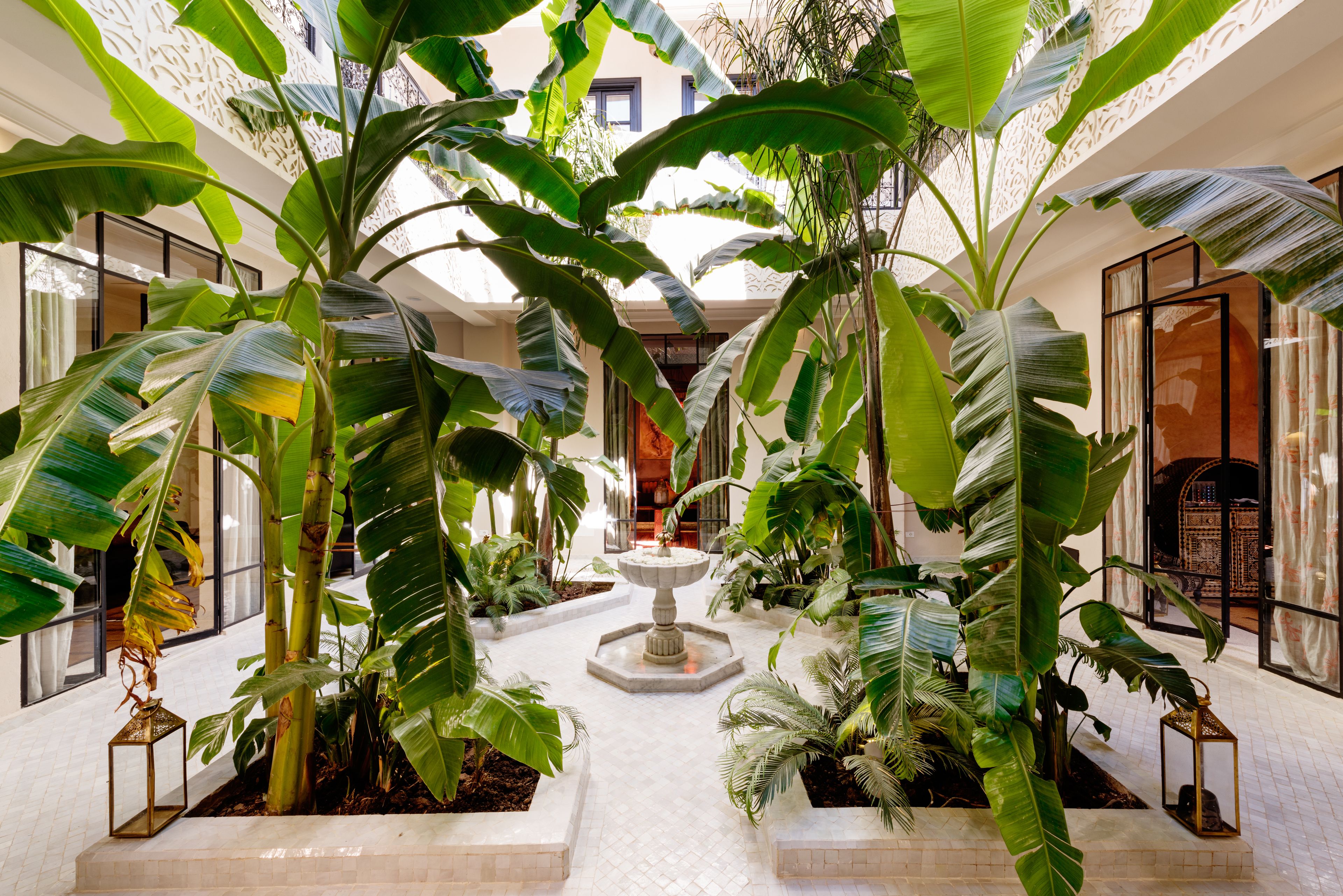 Foto - Riad Kheirredine