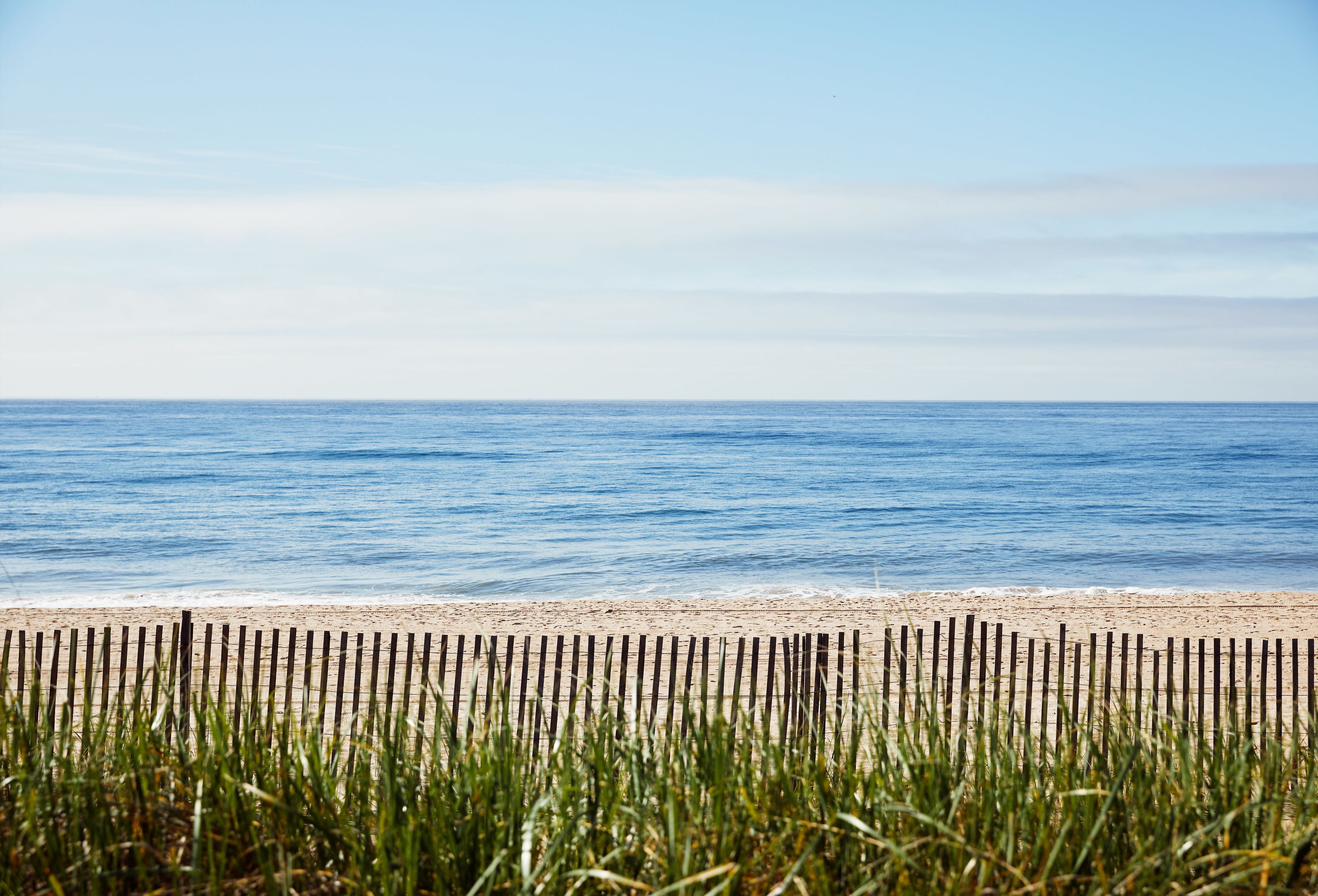 Photo - Marram