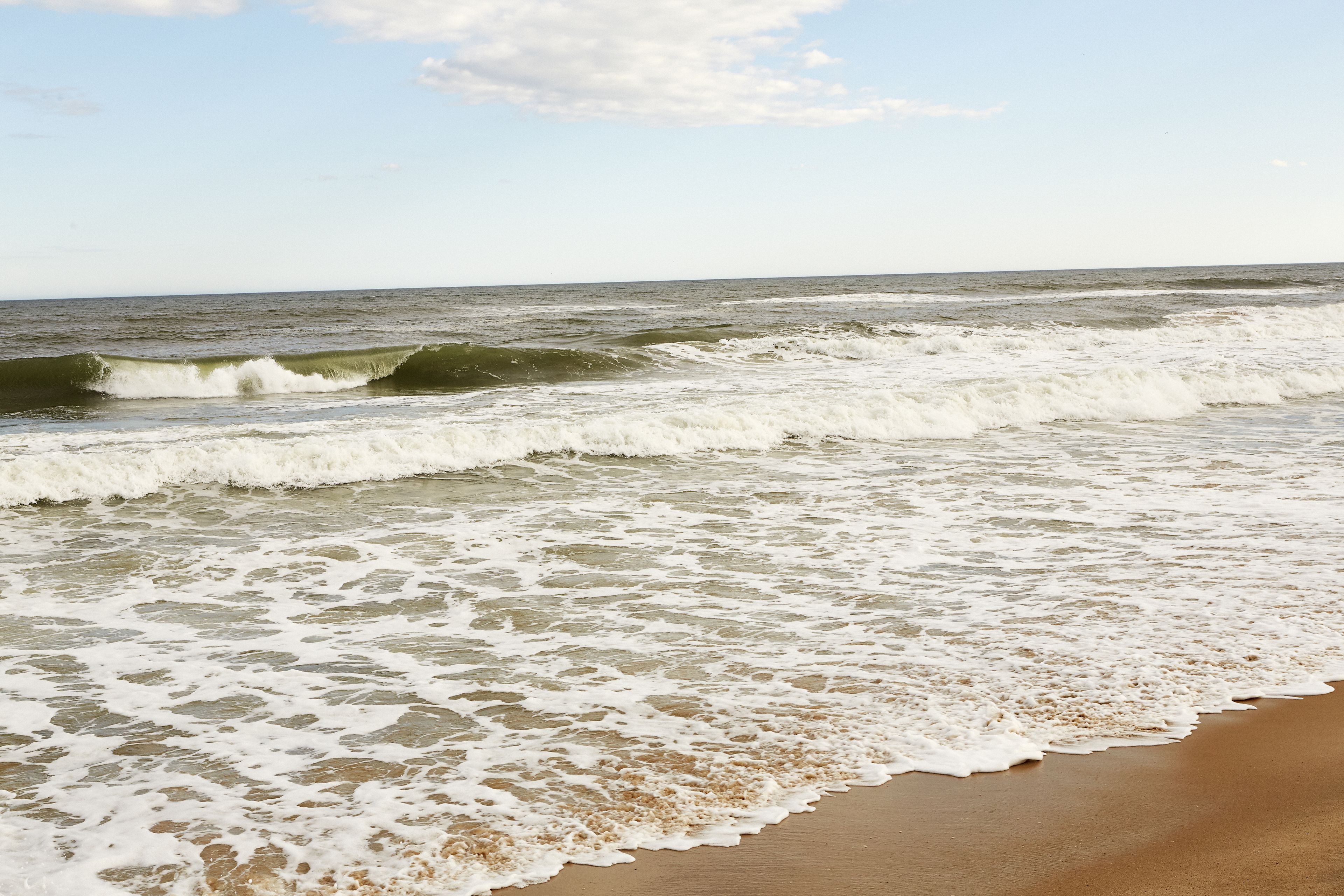Photo - Marram