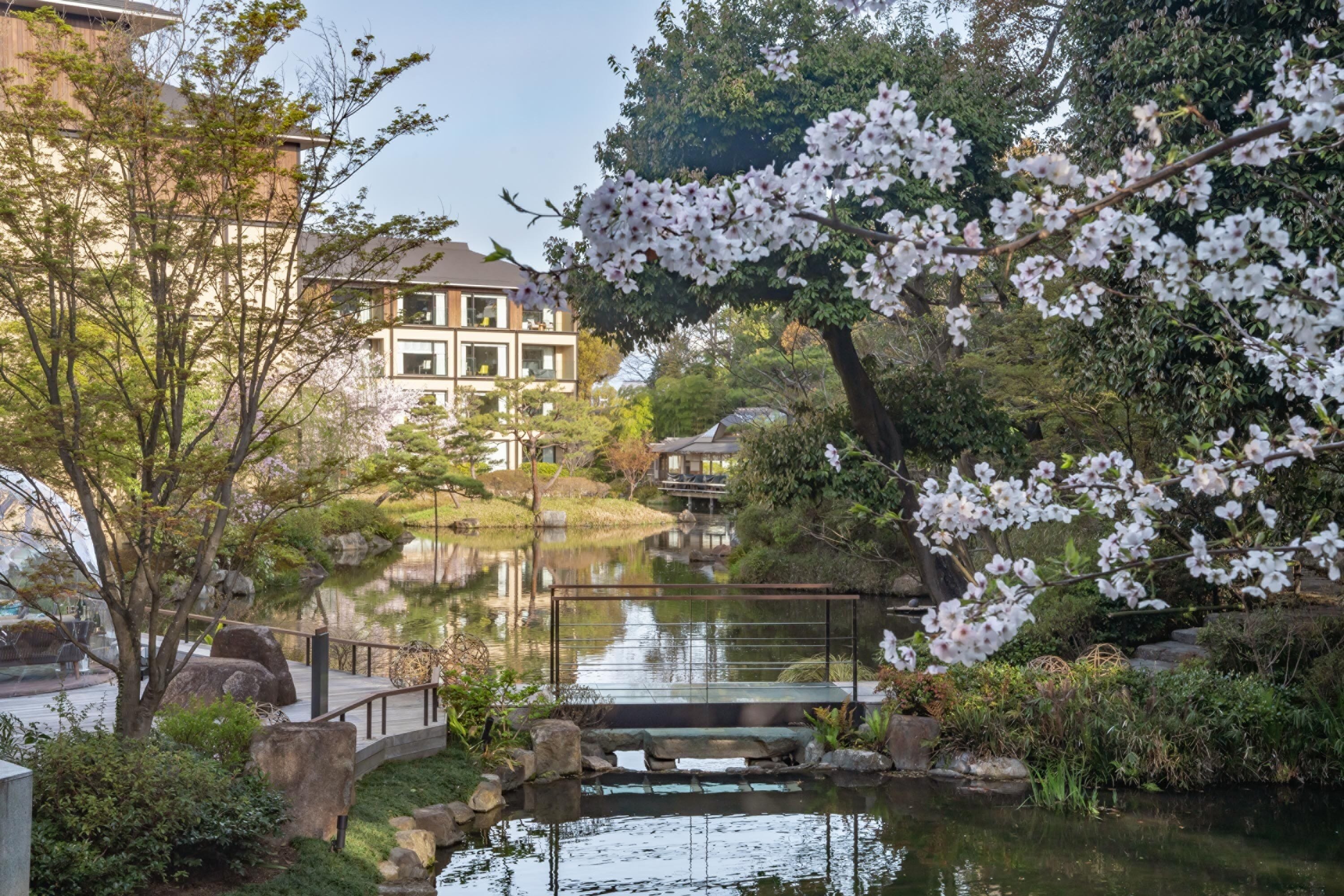 A serene garden with a pond, a wooden bridge, and cherry blossoms.
