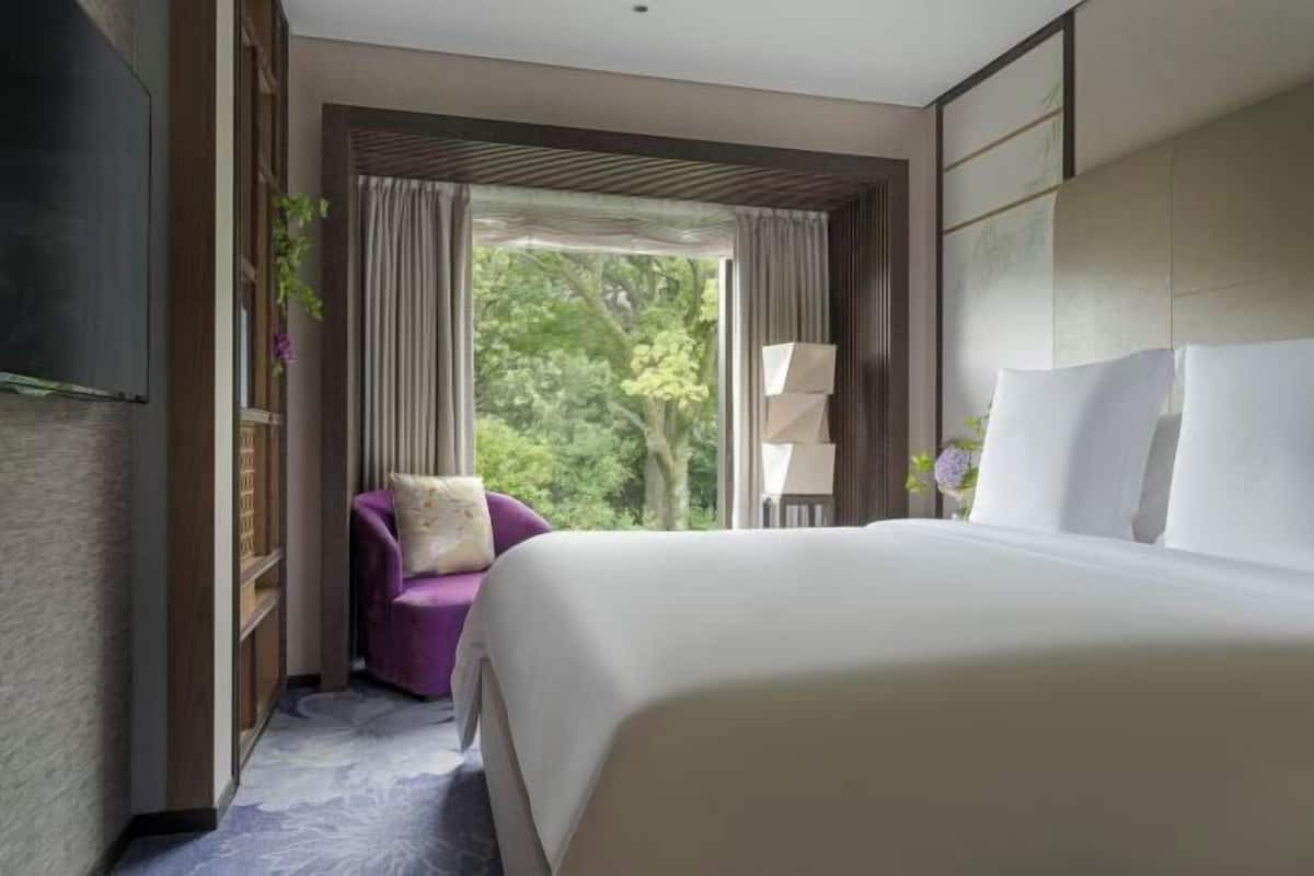 Literie de qualité supérieure, couette en duvet d'oie, minibar