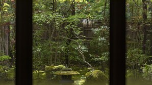 A traditional Japanese garden with a stone lantern, moss-covered rocks, and a wooden fence in the background.