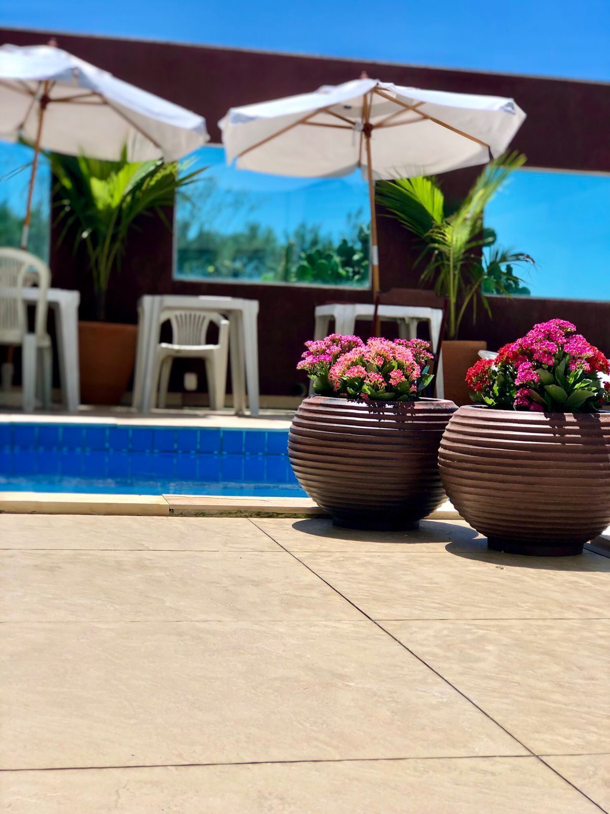 Terraço/pátio