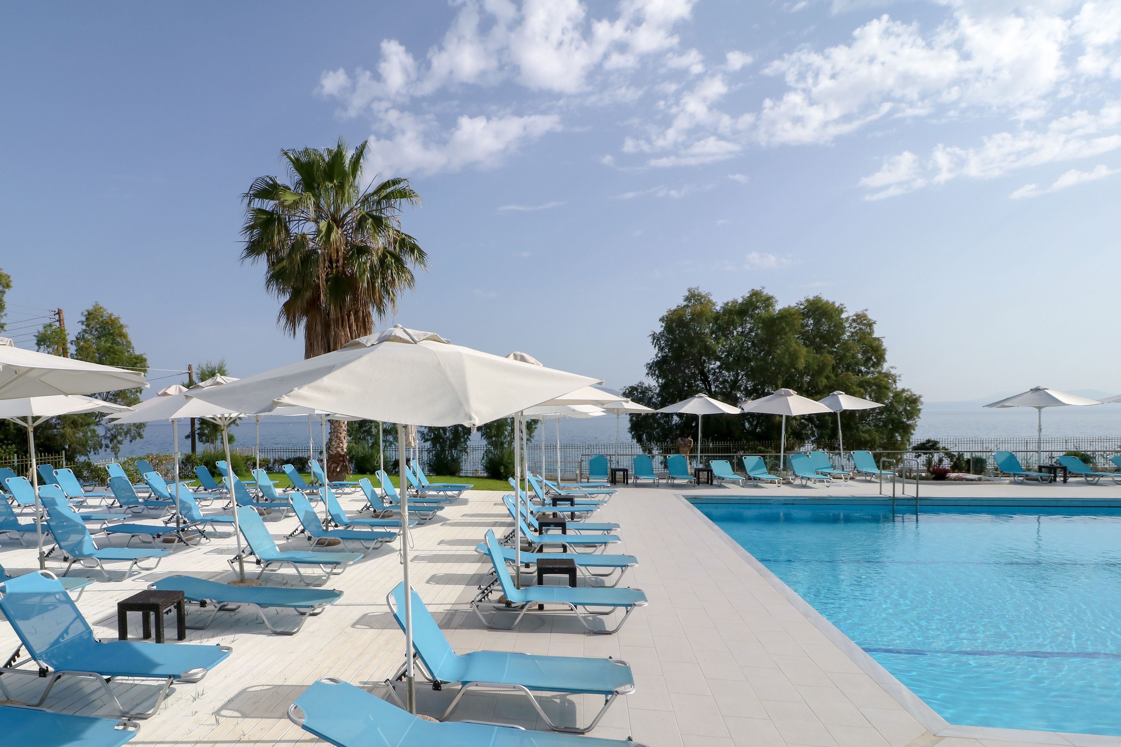 A poolside area with blue lounge chairs and white umbrellas, a palm tree, and a clear sky.