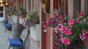 Sessió de taules exteriors amb caires blaus i jardineres amb flors.