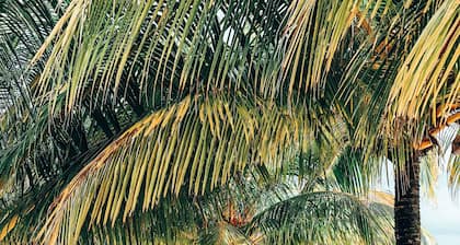 Mariposa Belize Beach Resort