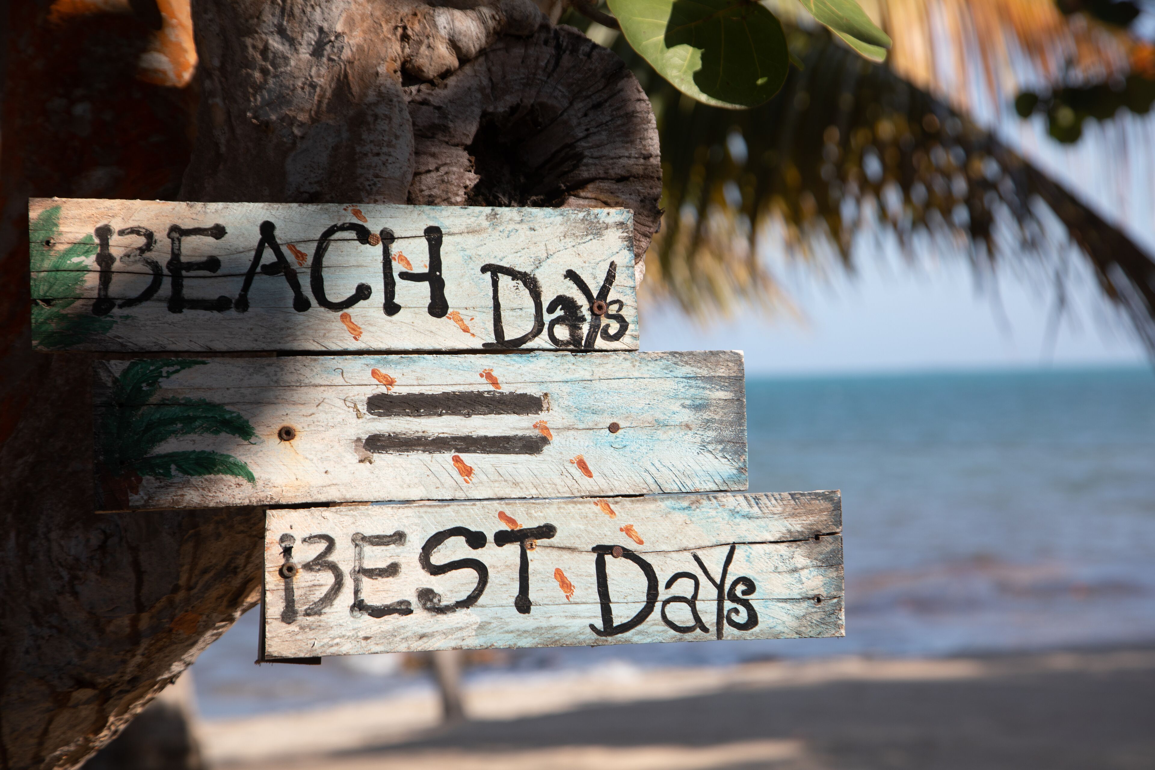 A wooden sign with the words "BEACH Days" and "BEST Days" attached to a tree trunk.