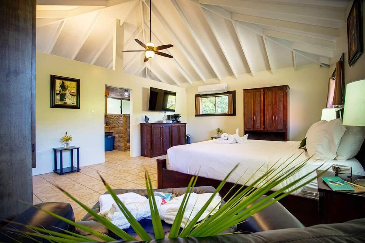 Un dormitorio amplio con una cama grande, un ventilador de techo, un armario de madera y una pequeña cocina.