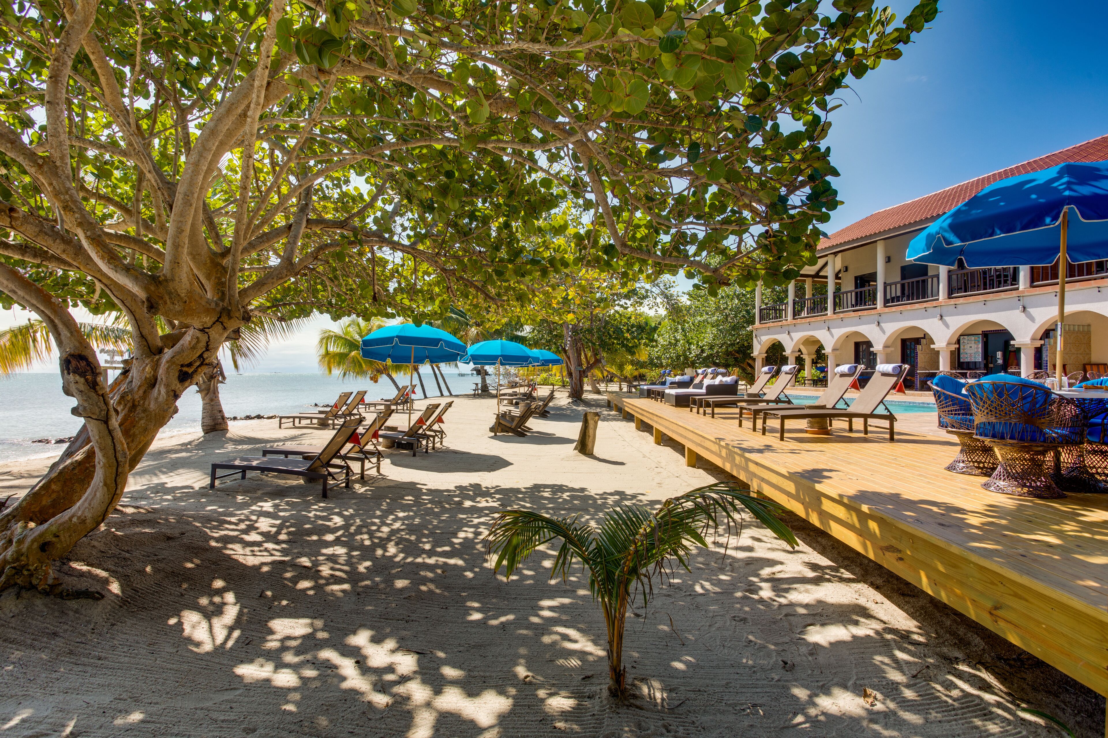 A beachside hotel with sun loungers, umbrellas, and a pool area.