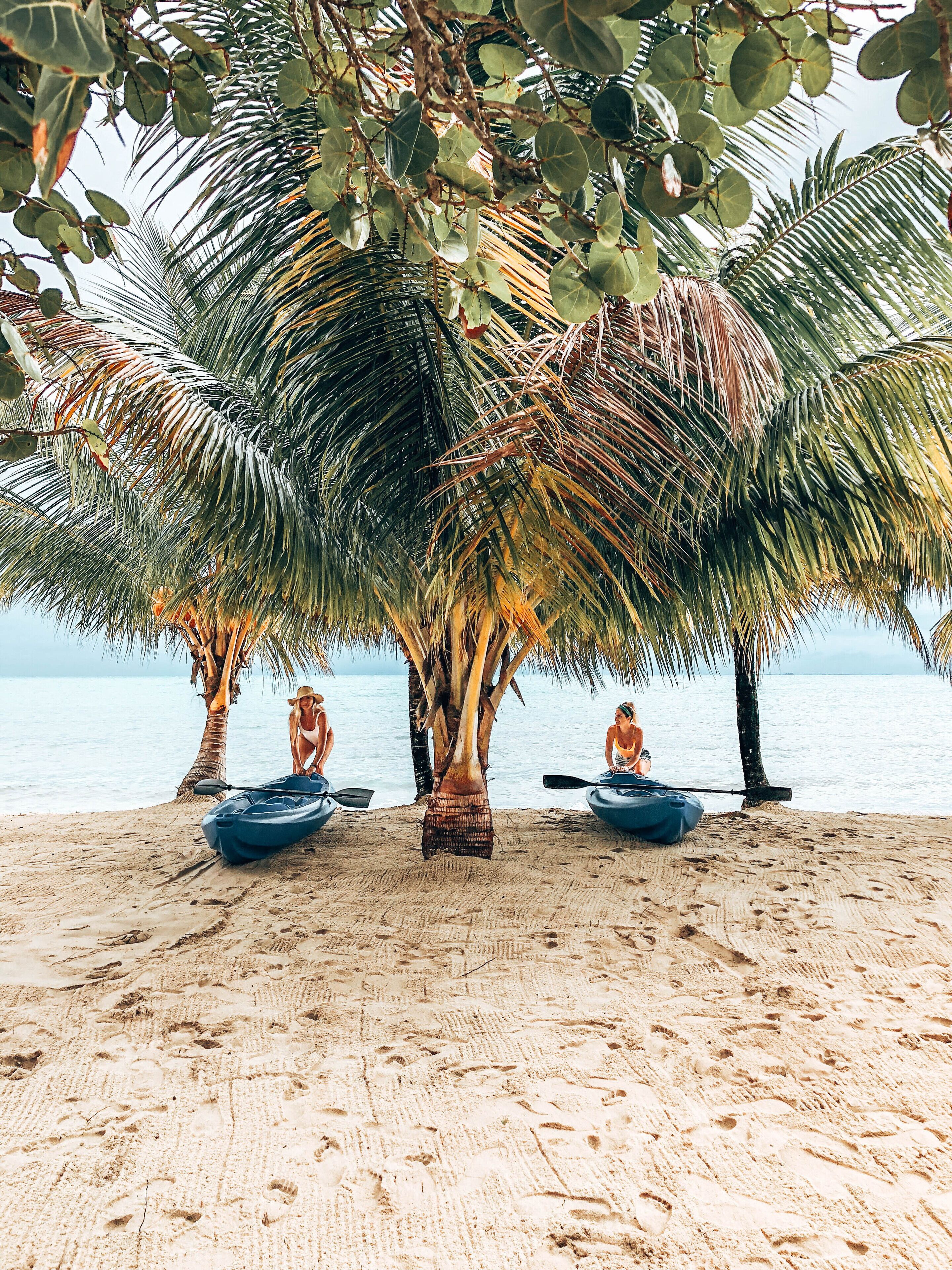 A beach with kayaks under palm trees, a sandy beach, and the ocean in the background.
