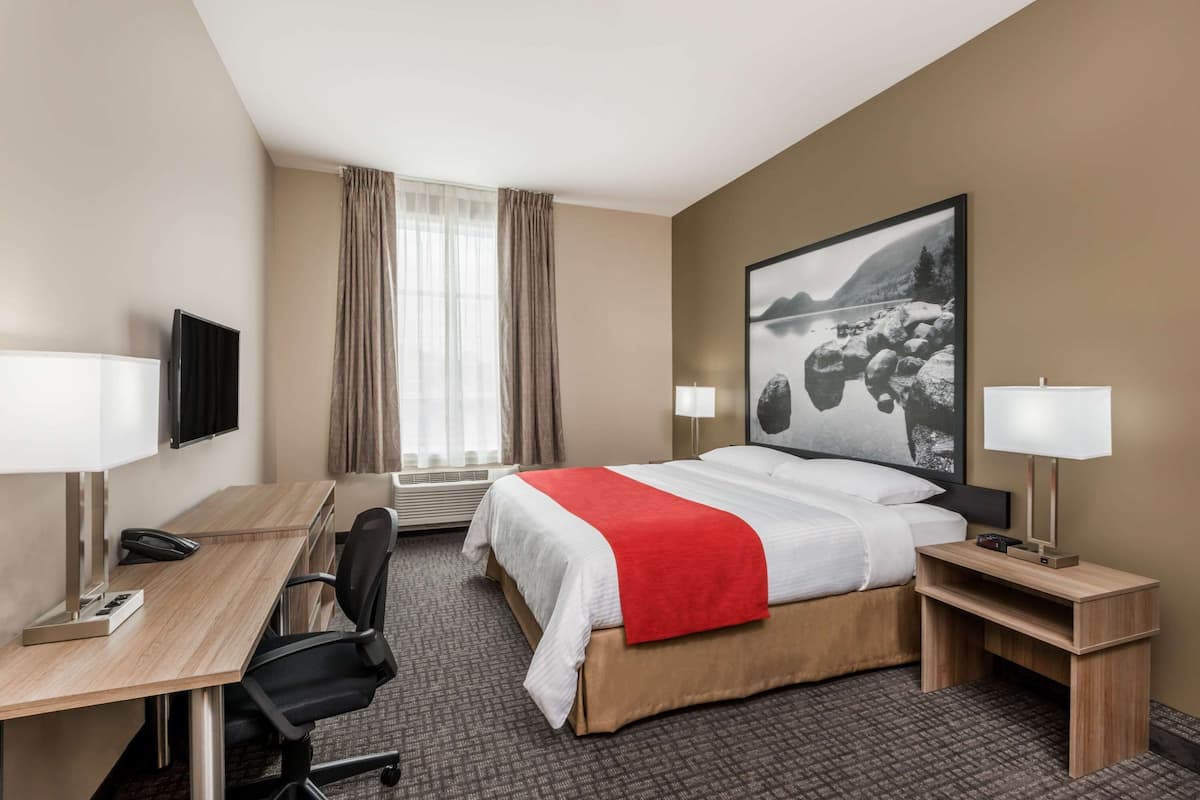 Habitación de hotel con cama, escritorio, silla y dos lámparas.