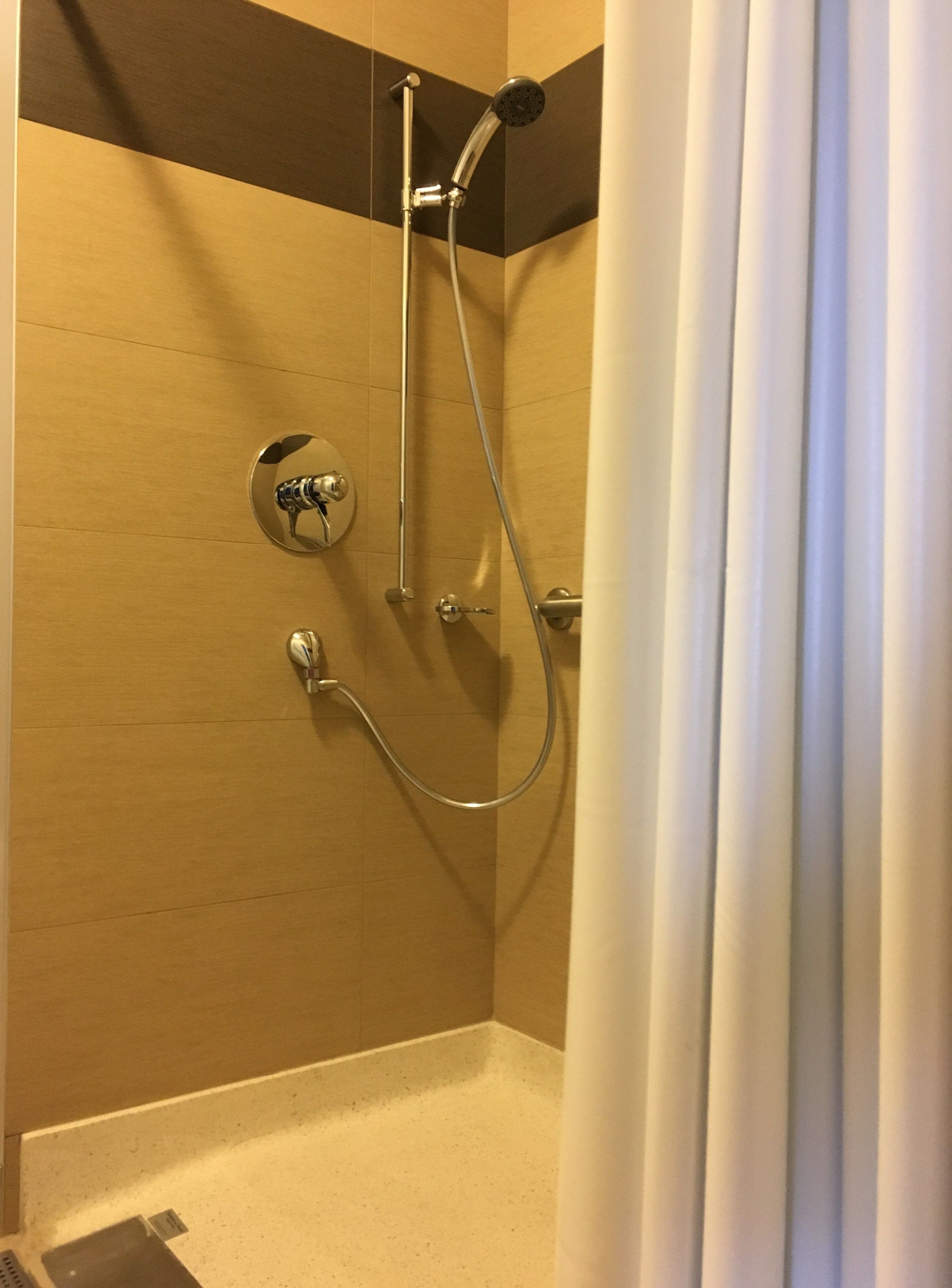 room, 1 king bed, accessible, non smoking (roll-in shower) | bathroom | shower, free toiletries, hair dryer, towels